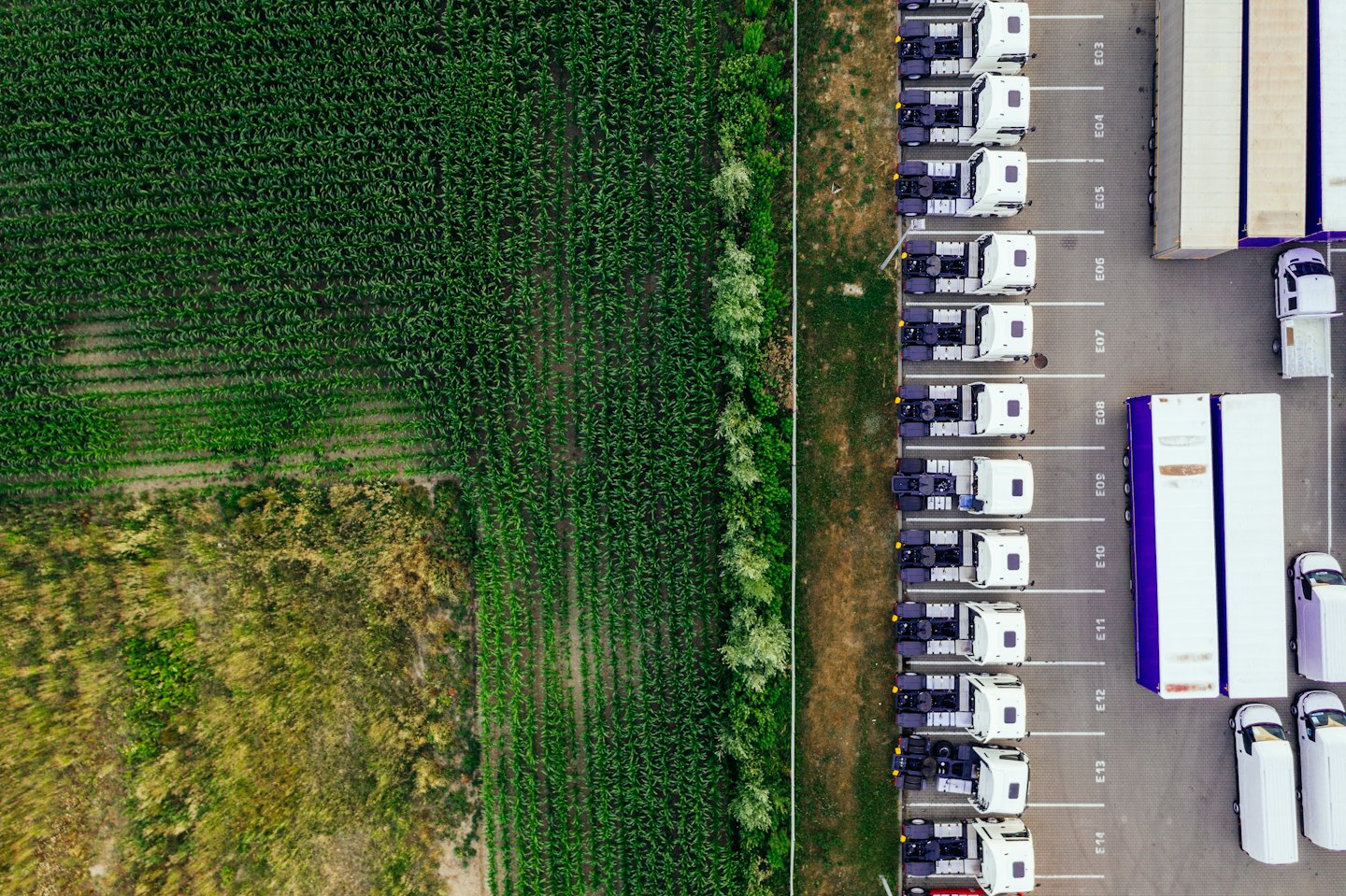 Weiße Sattelzüge stehen neben Anhängern auf einem modernen Logistikhub.