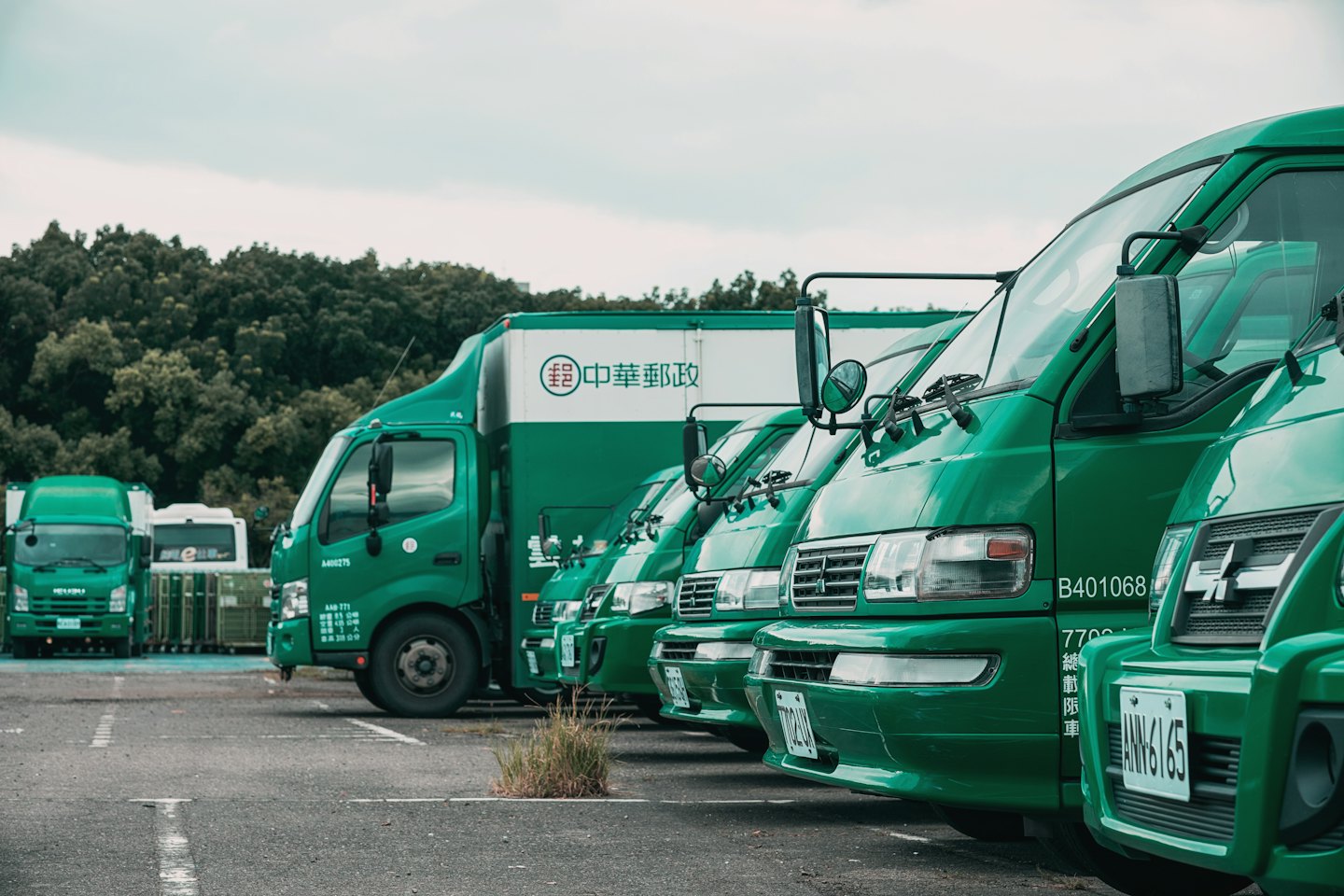 Grüne Lieferwagen und Transporter, die in Reihen auf einem Betriebshof geparkt sind.